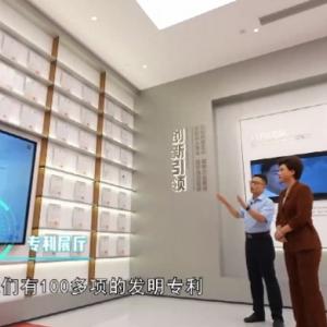 产业链上的山东好品牌｜百龙创园：玉米“黄金跃迁记”