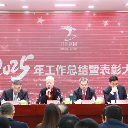 凝智慧聚合力加速实现百龙梦！|百龙创园2025年工作总结暨表彰大会隆重召开