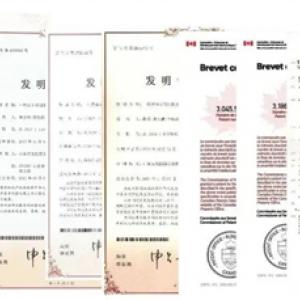 亚洲国产欧美在线人成最新-久久久国产人妻精品-久久亚洲AV无码AV男-国内大量揄拍人妻精品視頻-A片做爰片仑理片免费看午夜蝴蝶