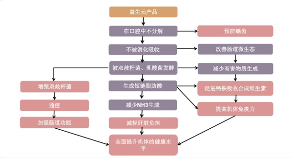 行业变革之际，百龙创园益生元崭露头角