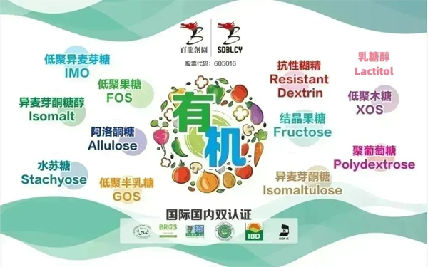百龙创园闪耀美国食品科技展 IFT FIRST 2025