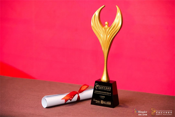 百龙创园荣获荣格技术创新奖,创新实力再获权威认可